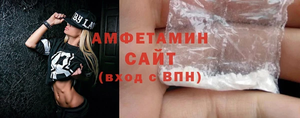 СК Алексин