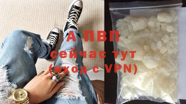 СК Алексин